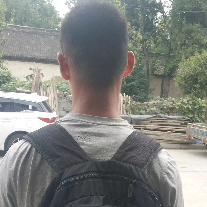 作词人赵晓赵