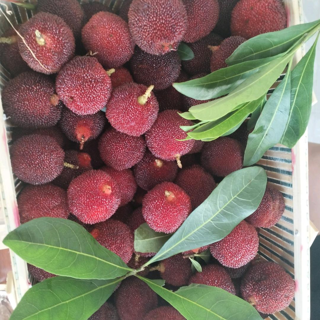 冷冻水果粗加工，代工，去核，去皮。