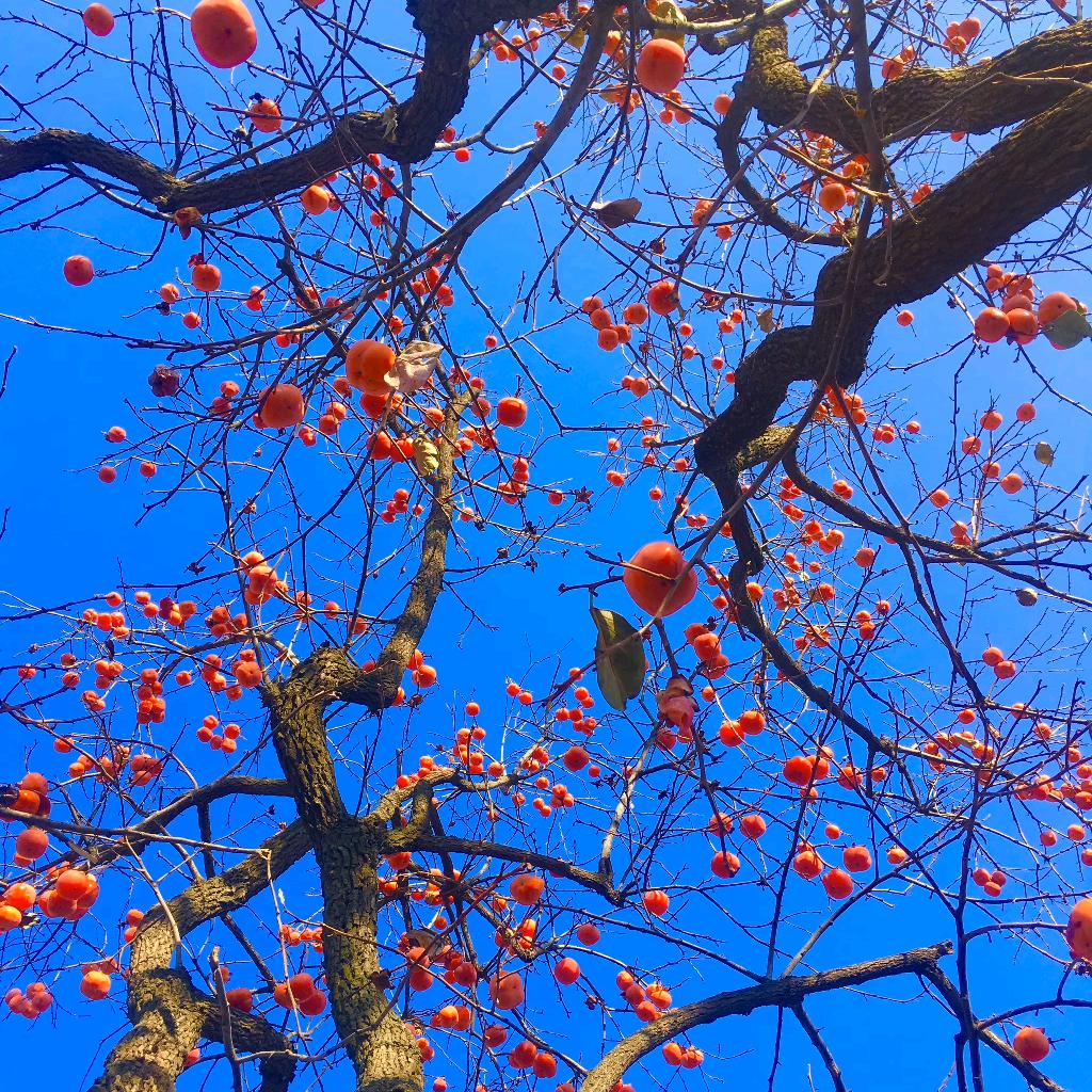 请允许一切发生