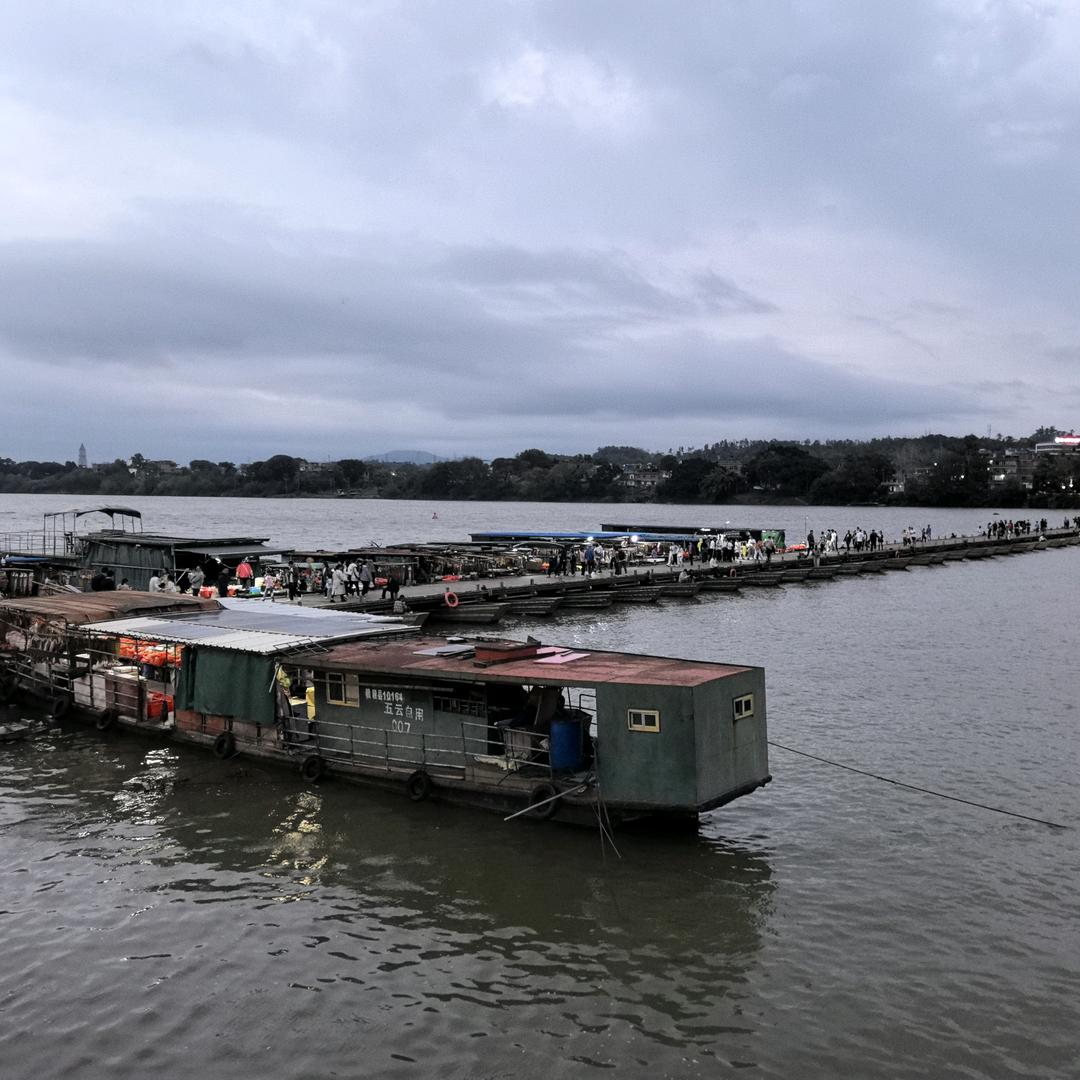 远洋🌊