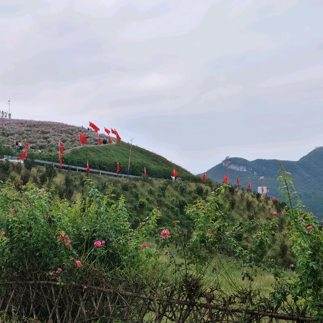 小卢不迷路