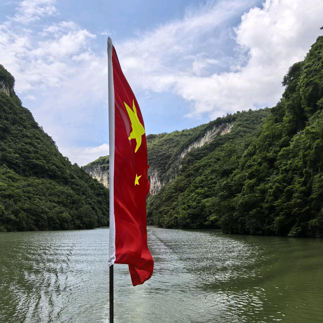 鲸鱼