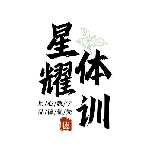 星耀羽球-陈教练