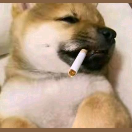 心想事陳