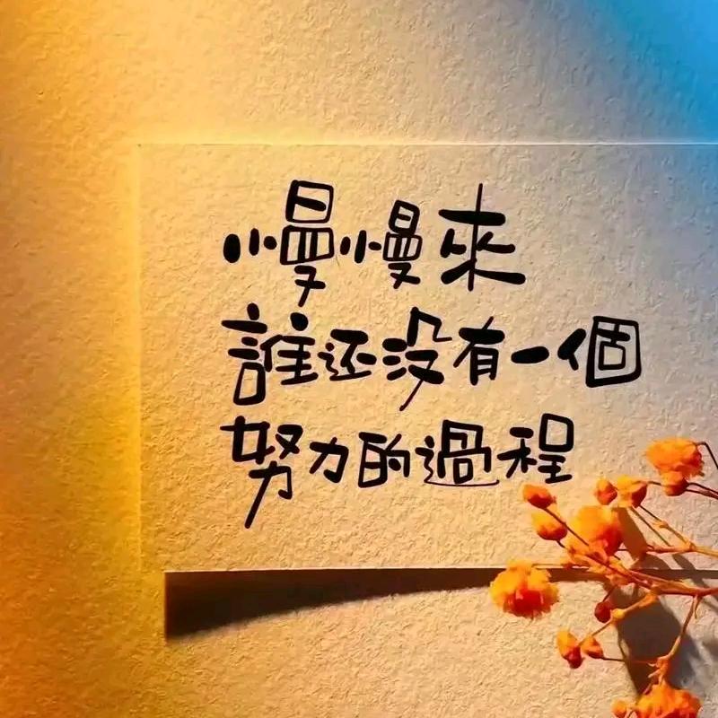 爱生活，爱自己