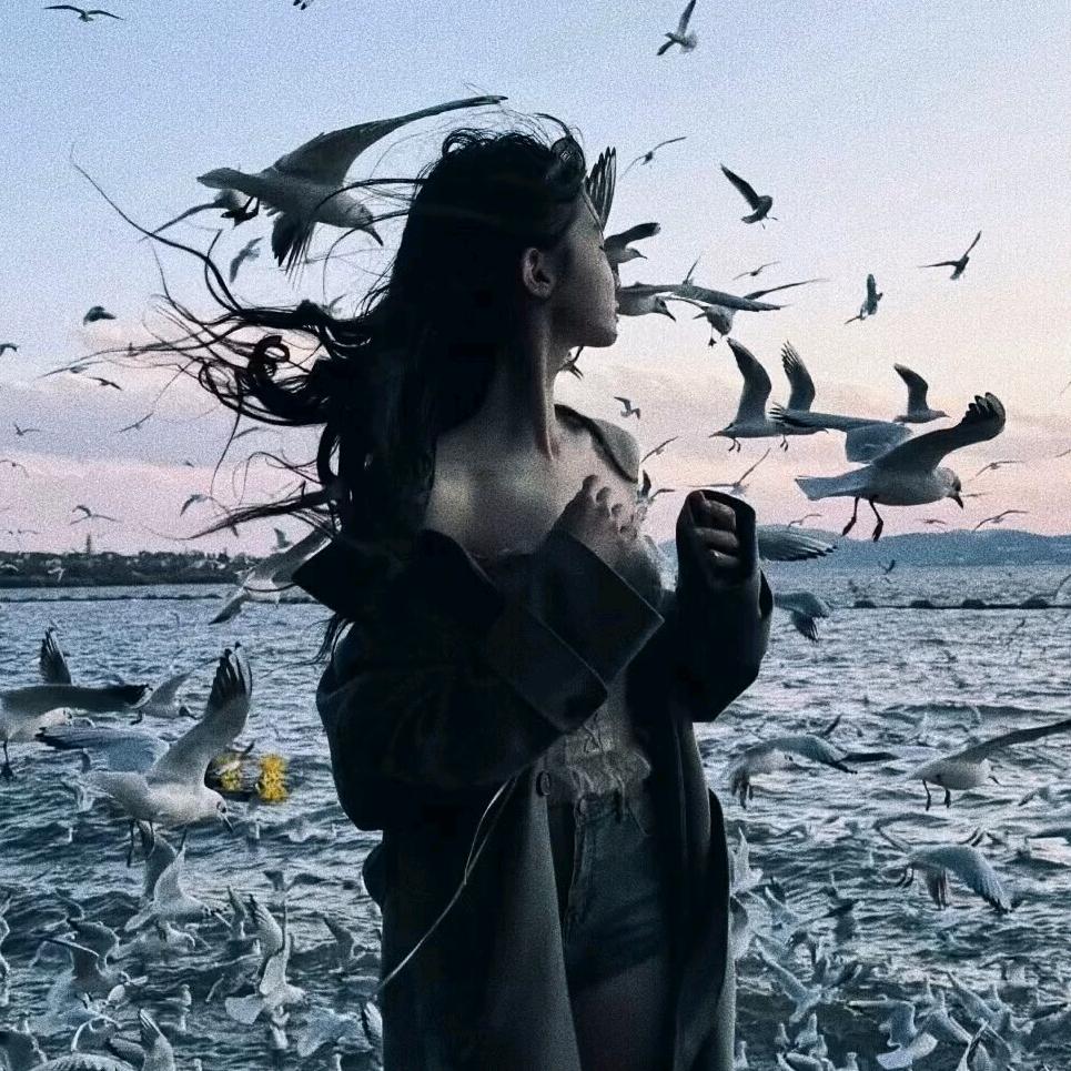 "ᝰꫛꪮꪮꫜ 🌙 .