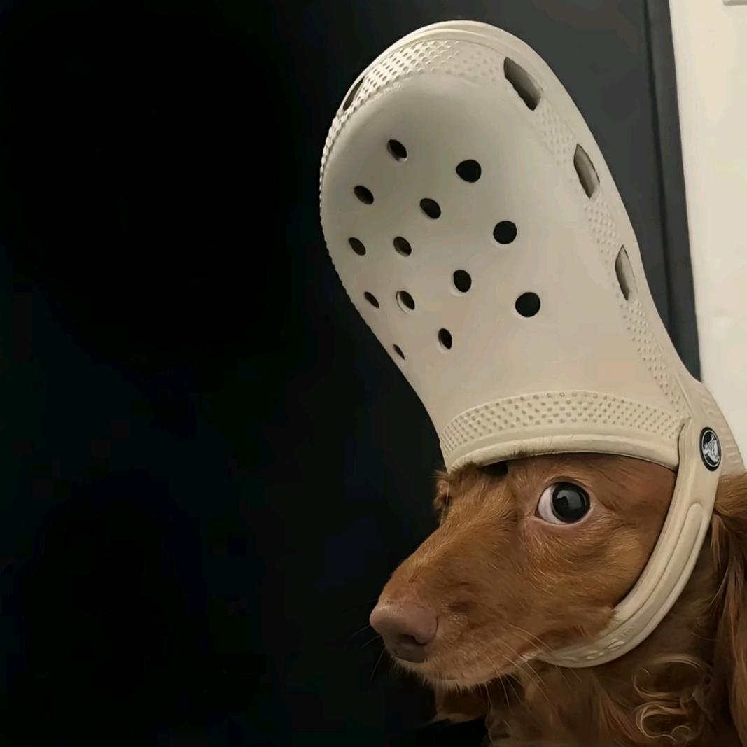 哒拉哒拉