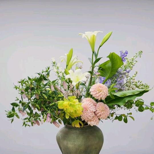 沁阳芥子园花艺