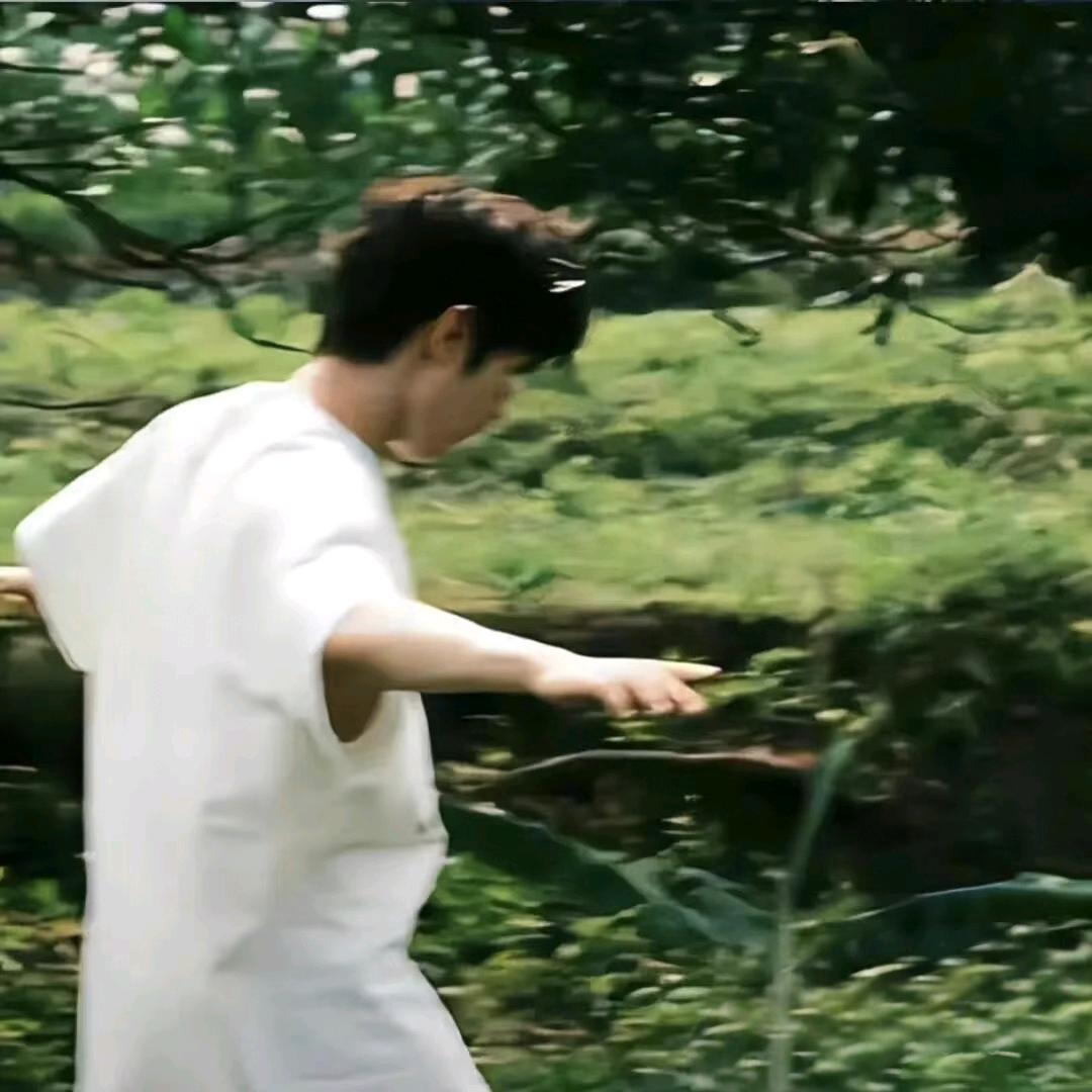 一头憨熊