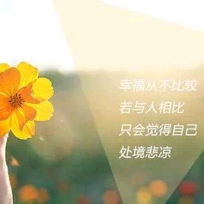 家有四宝，凑了俩好