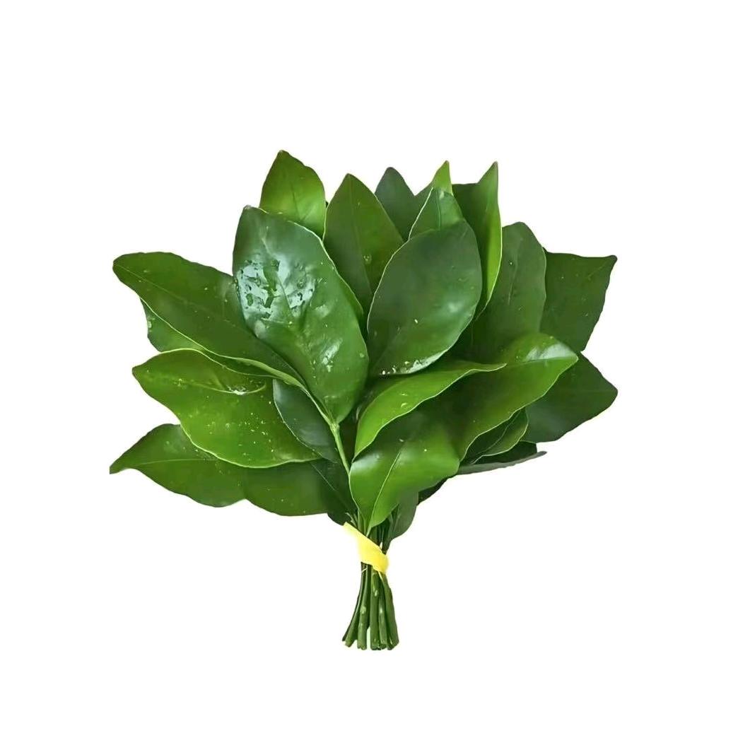 江慕一