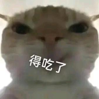 惜当下，梦未来