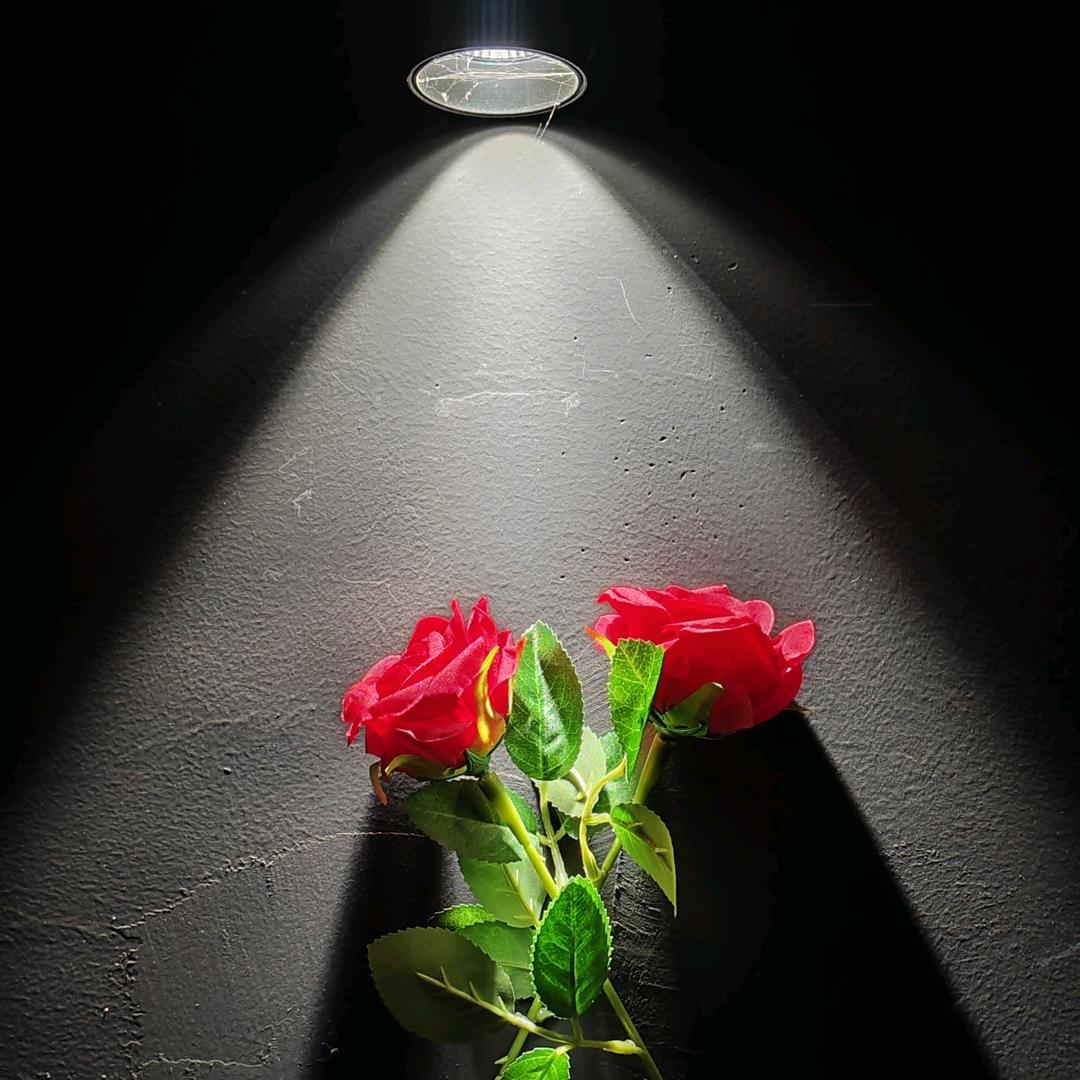 鲜花club
