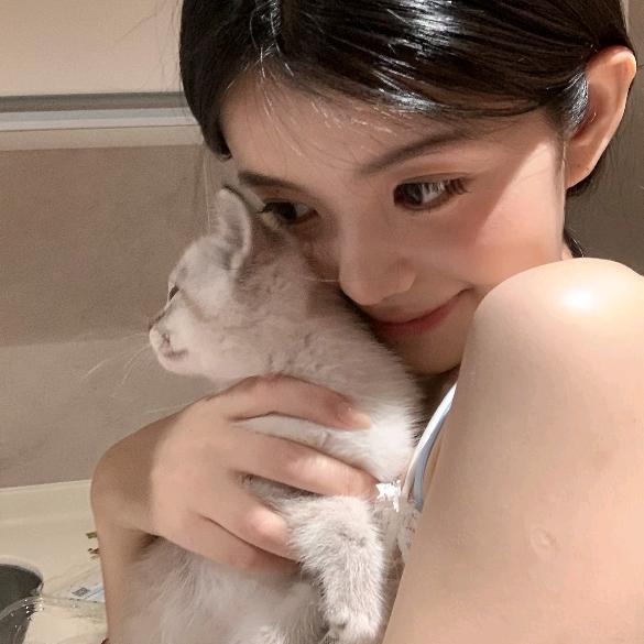 一只猫