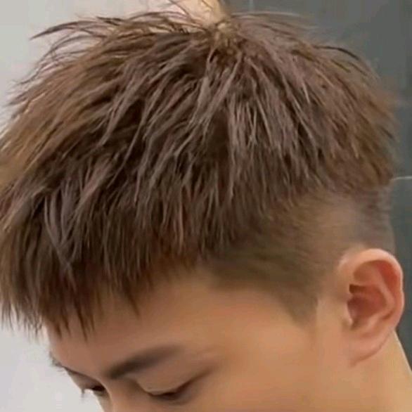 杨2588