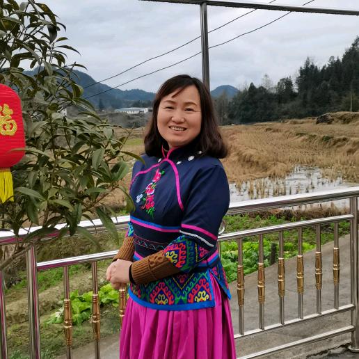 边牧旺旺