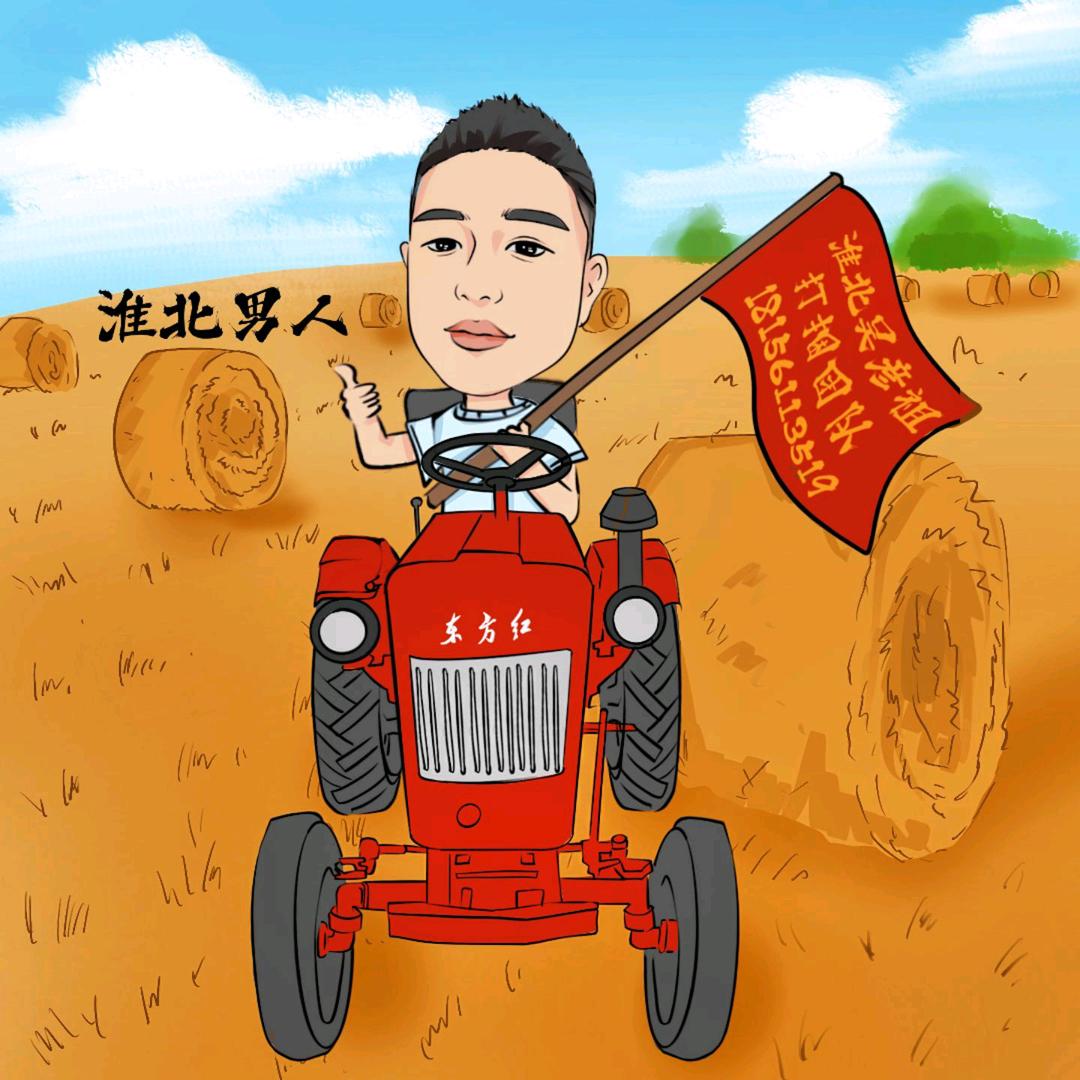 🌾🌽淮北吴彦阻🌽🌾