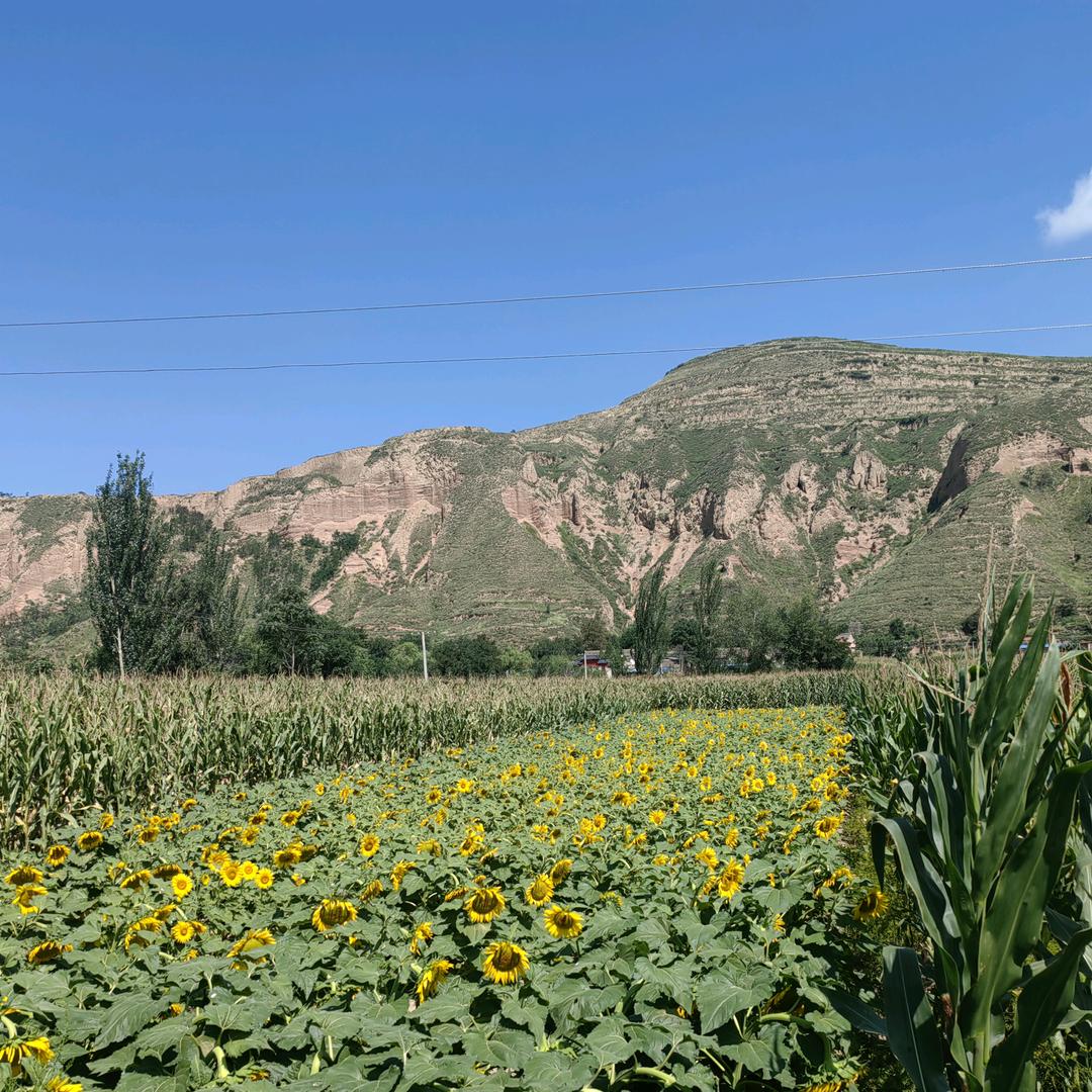 ঞৣঁ🥀:淡然