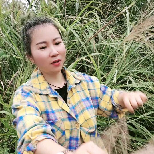 程程（主页开播）