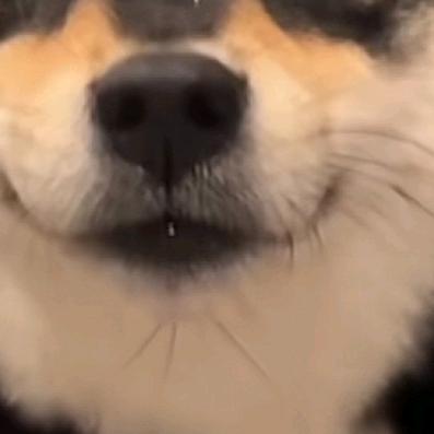 叫什么叫头像