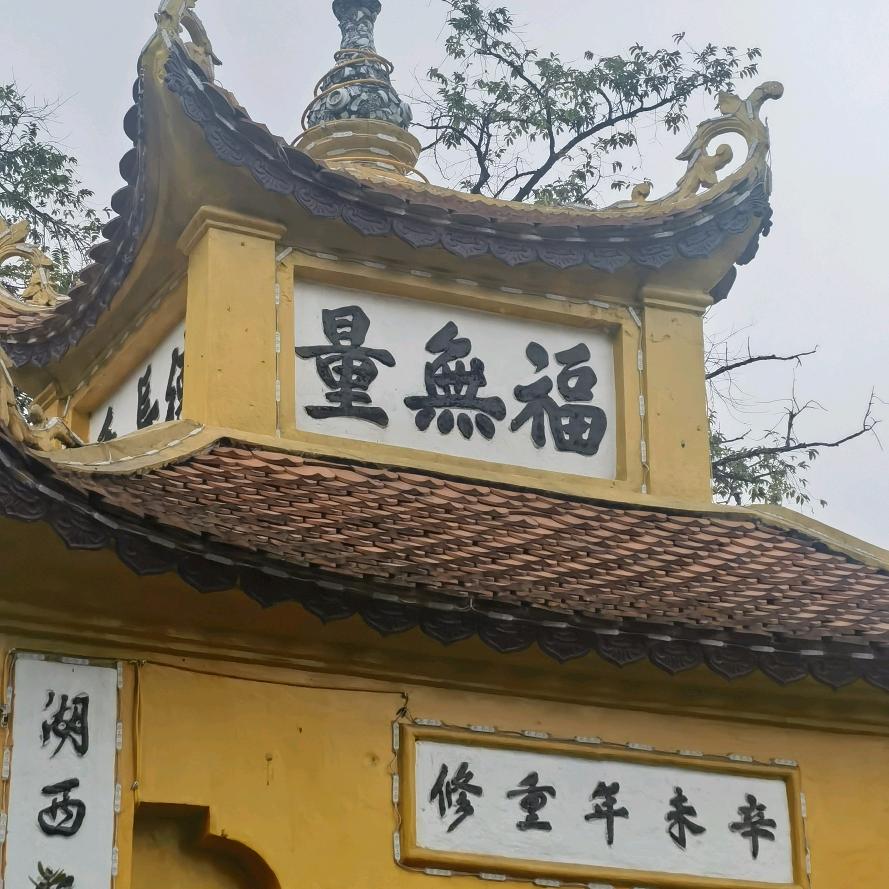 月明在行