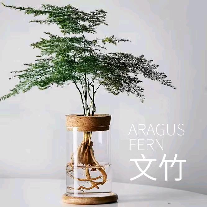 小志优选