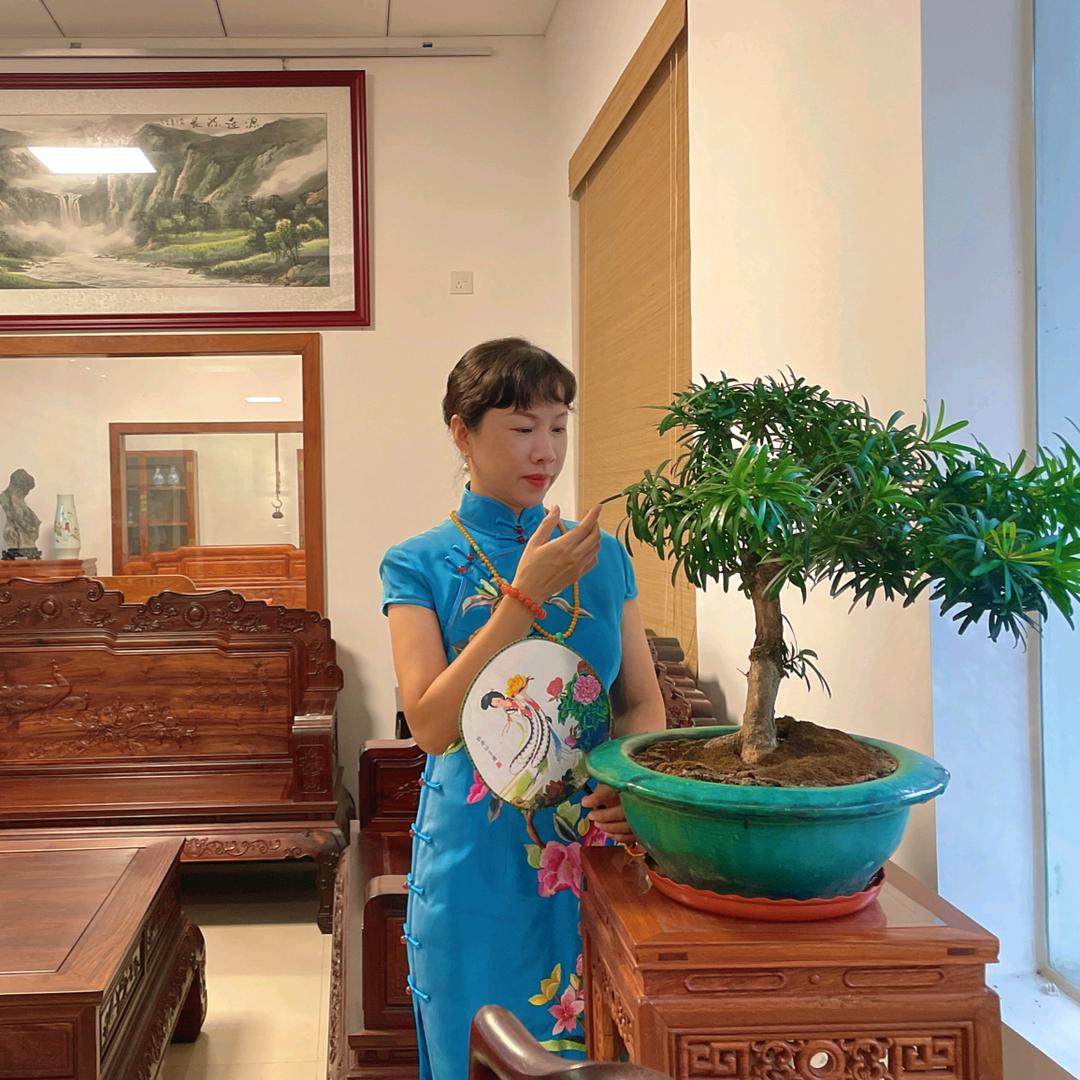 明尚居红木【兰姐】