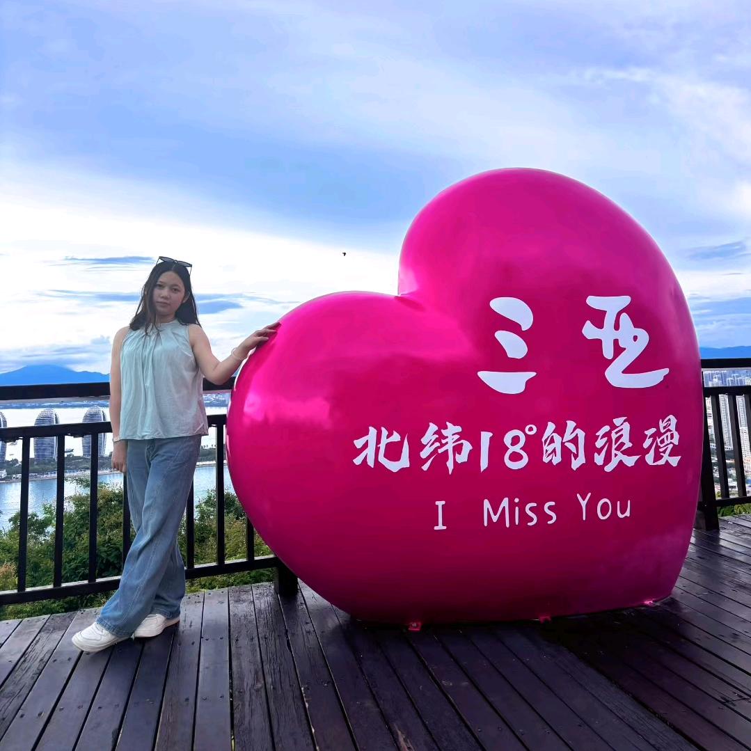 麦芳51950862005