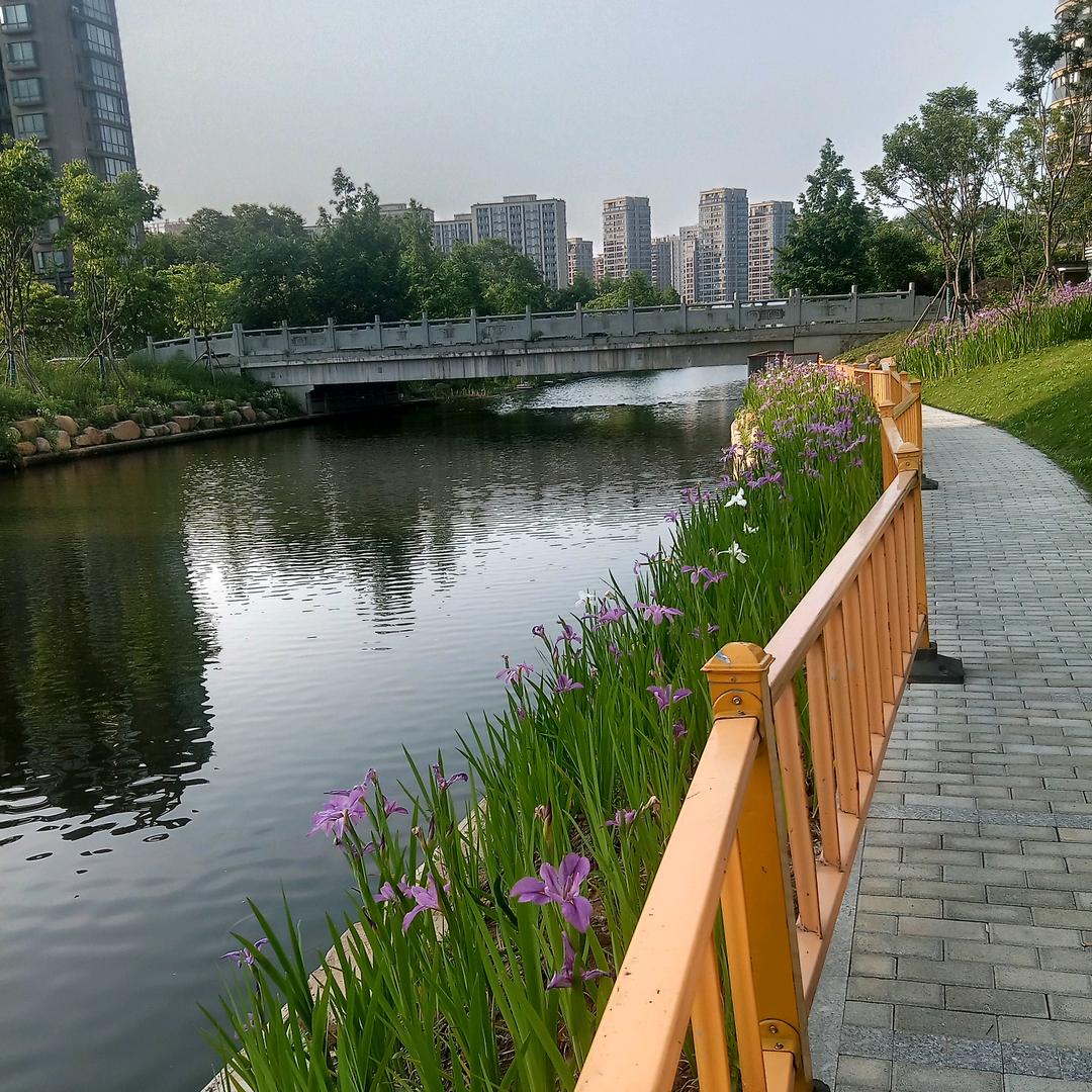 ❤️珍❤️惜❤️