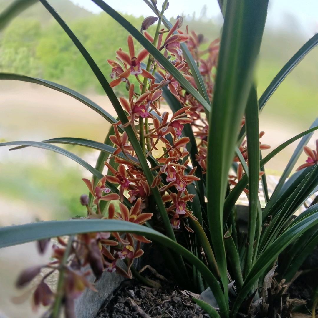 雨后阳光