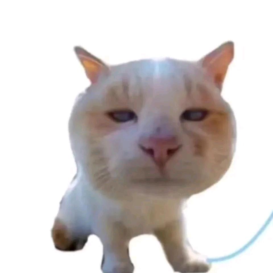 楚歌——之9