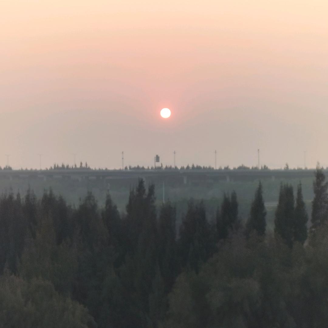 爱吃牛肉的男人