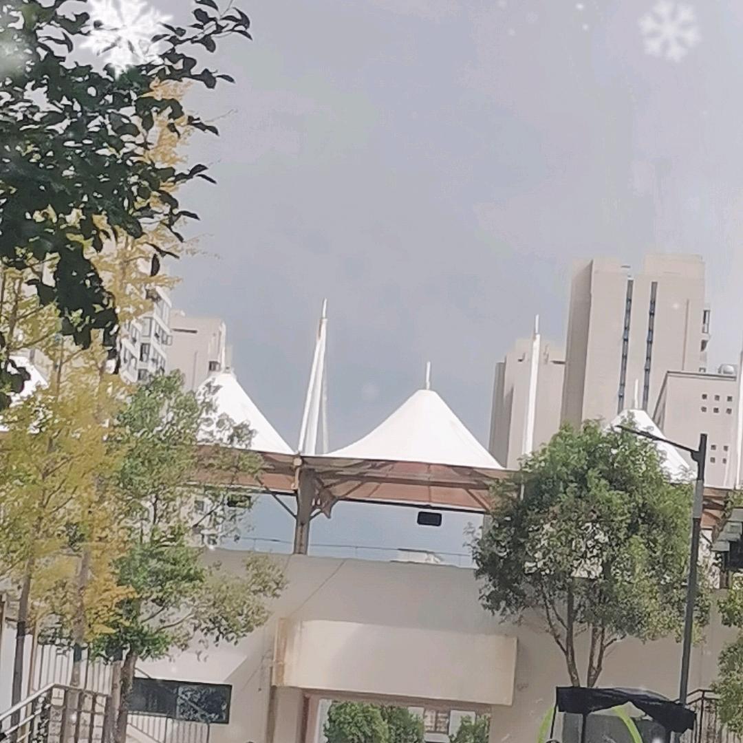 南栀倾寒
