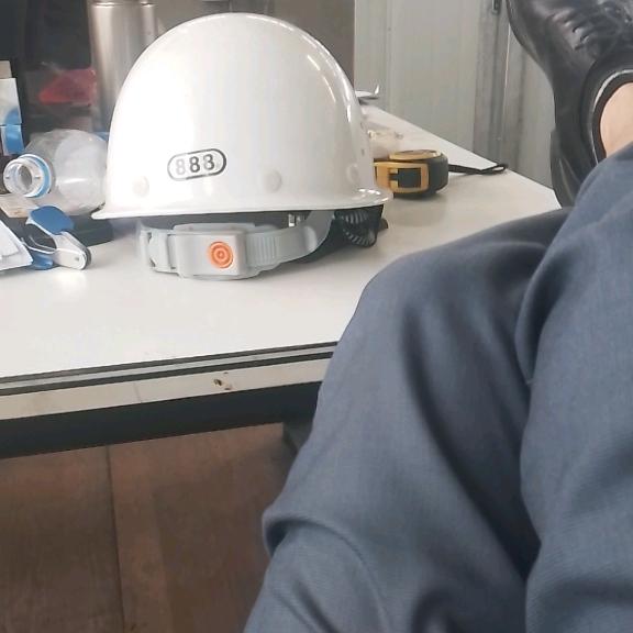 葱烧海参