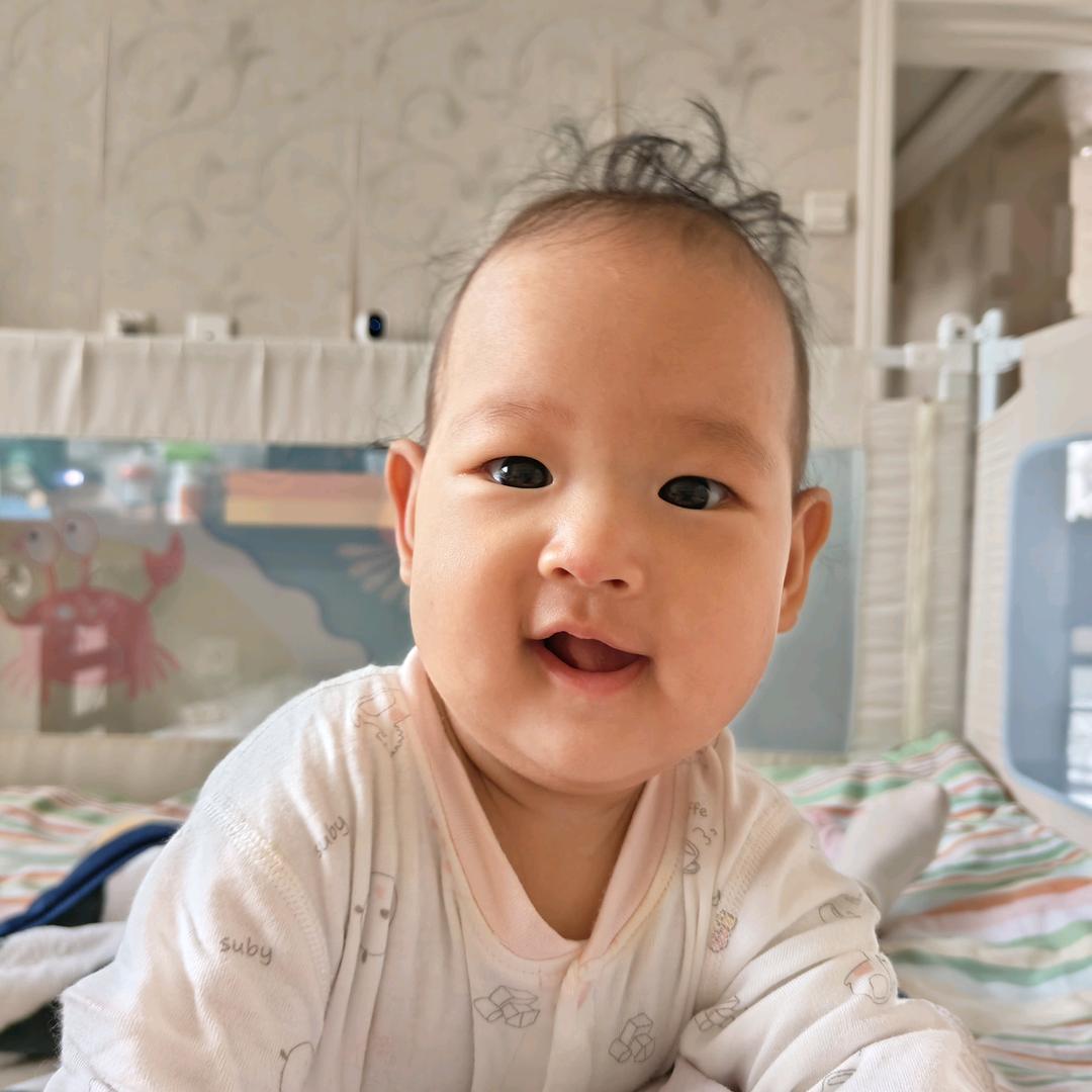 李子树下你和我