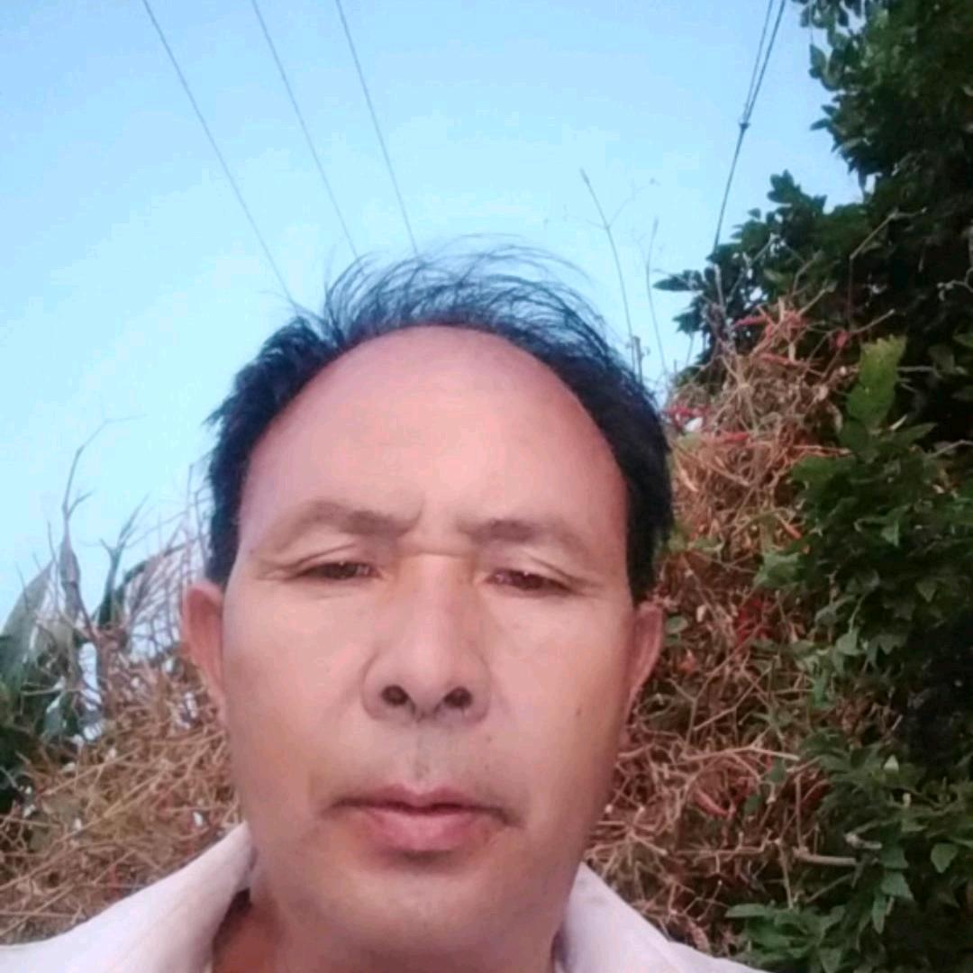 奔加元