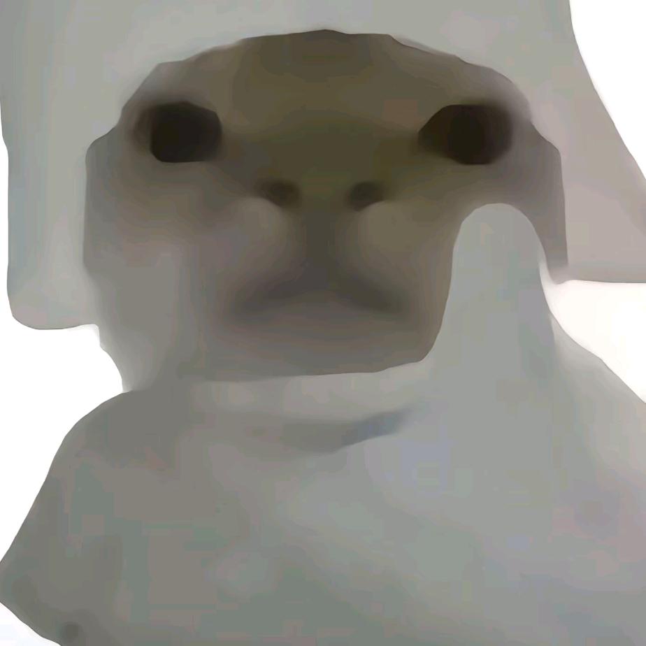 嚣张的贝壳头