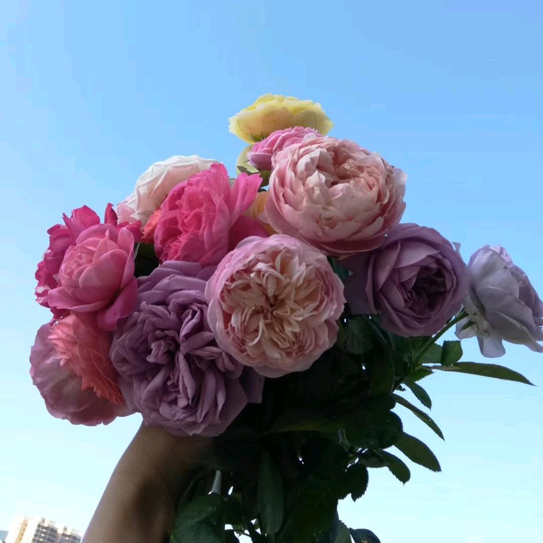想知道但不想问