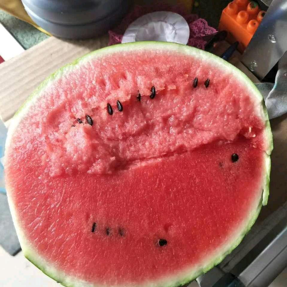 西瓜二哥