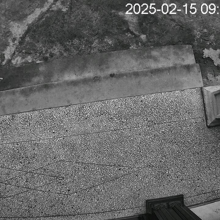 奇怪