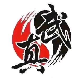 真武门戴氏心意拳