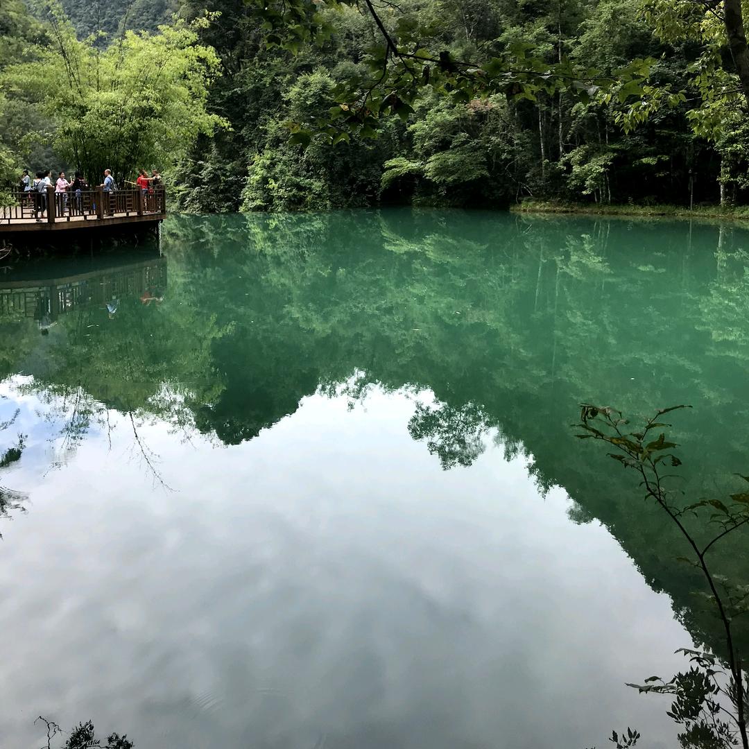 飞虎神鹰