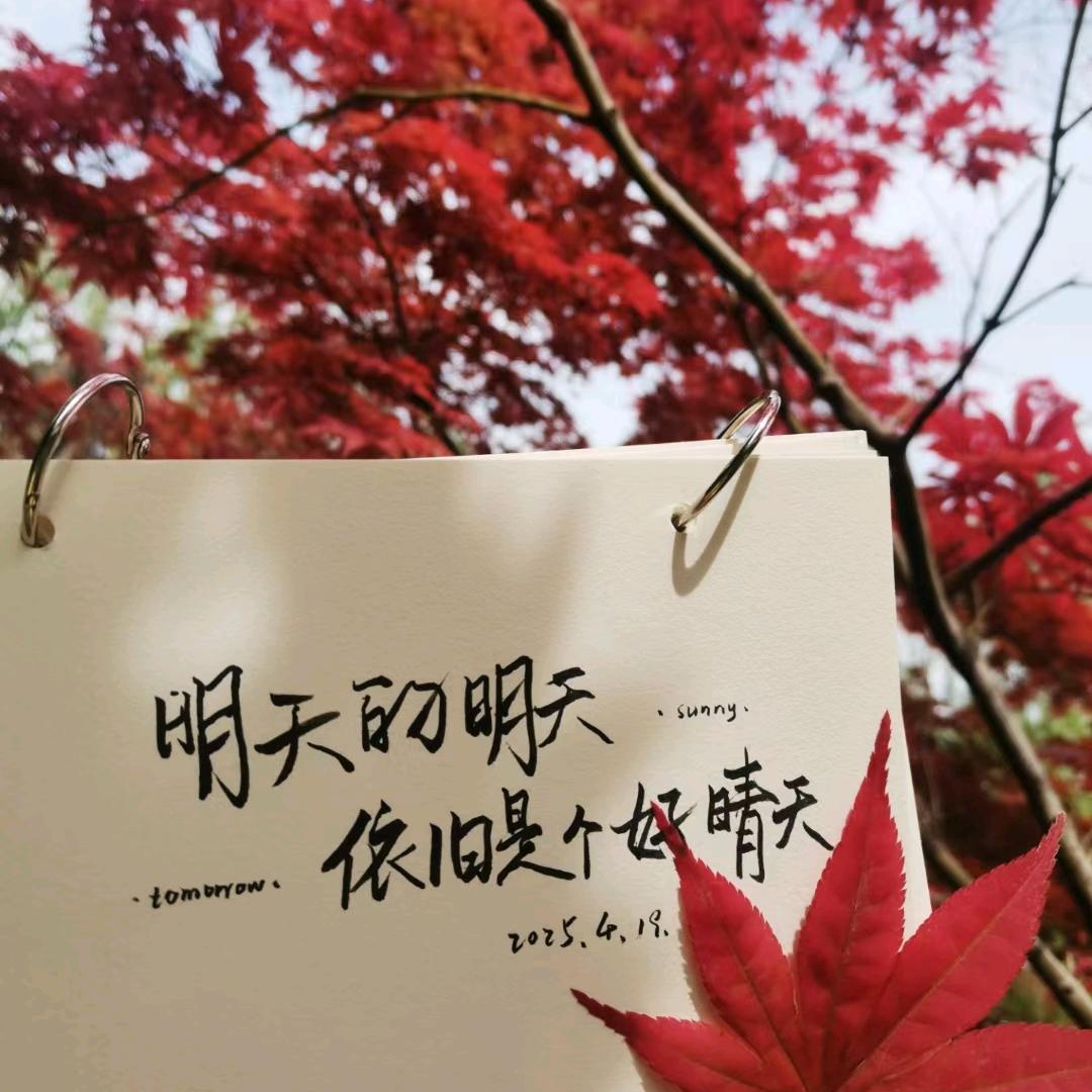 希*芯*瑶
