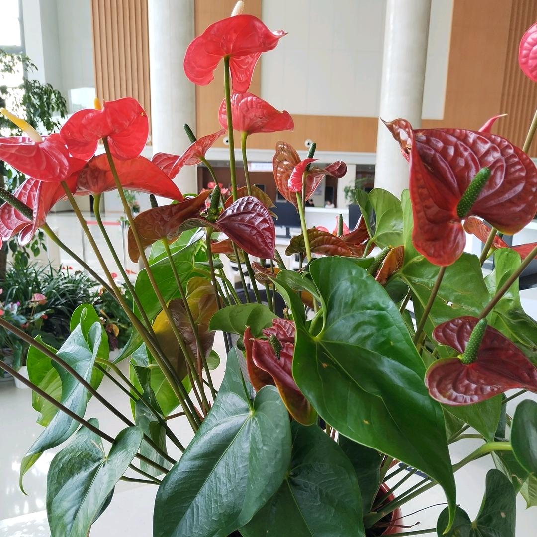 孔繁🌺秋水伊人