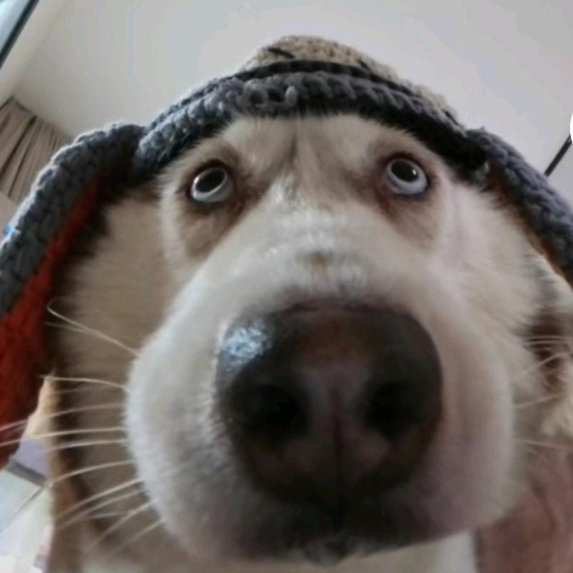 昨天还是个猛男呢