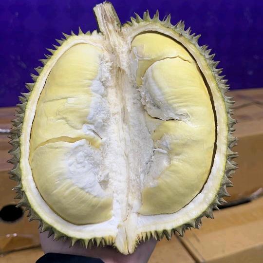 永济市舜街百果汇社区团购榴莲忘返