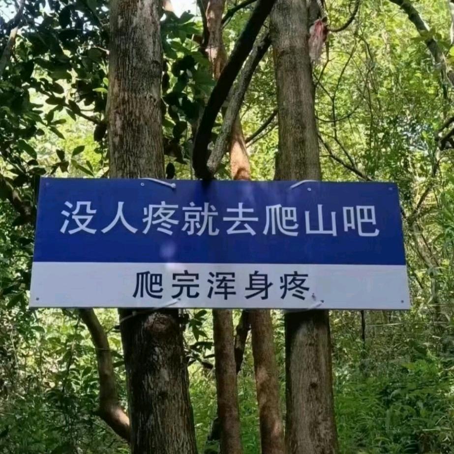 🐠独单背影🐠🎣
