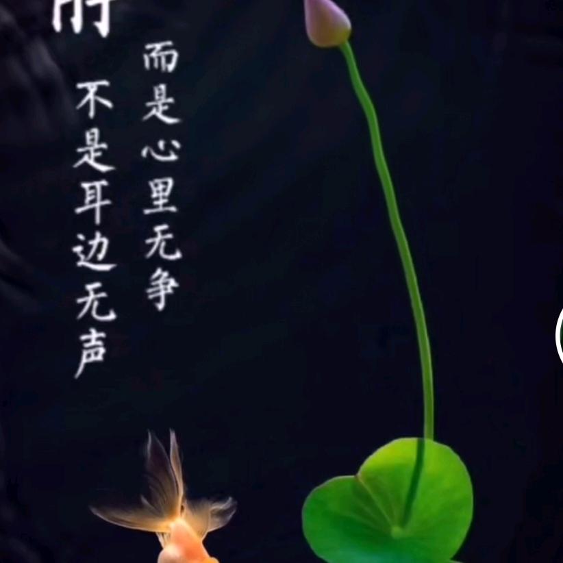 沉时坦然  浮时淡然