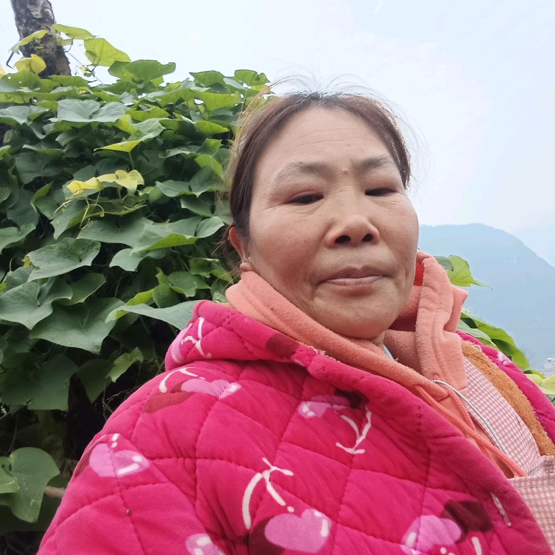 陈妹早上六点十分直播