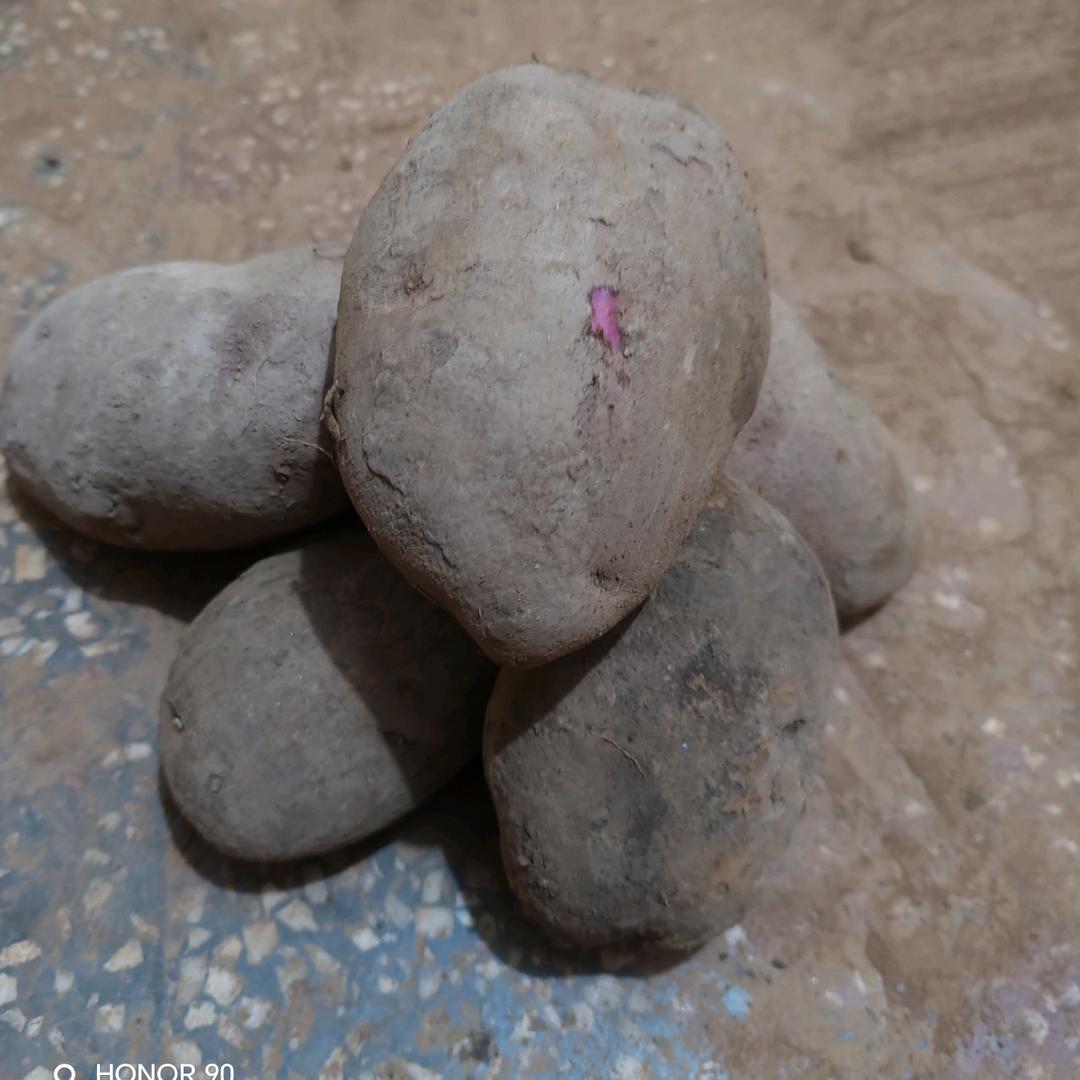 小土豆   大力量